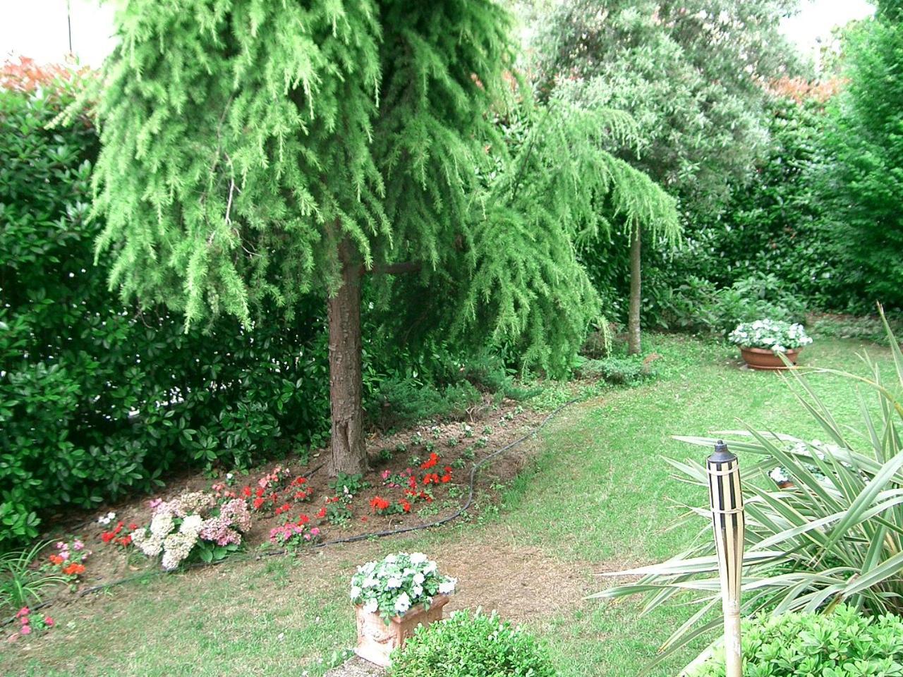 B&B Casa Boscolo Piove di Sacco Buitenkant foto
